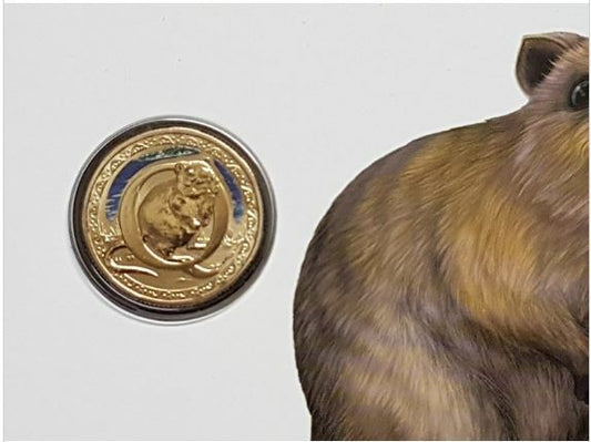 2017 Alphabet Collection Letter Q $1 Coloured Frosted Coin RAM