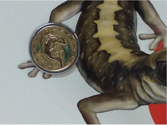 2016 Alphabet Collection Letter G $1 Coloured Frosted Coin RAM